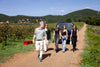 Tenuta Montauto - Light tasting