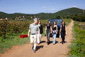 Tenuta Montauto - Light tasting
