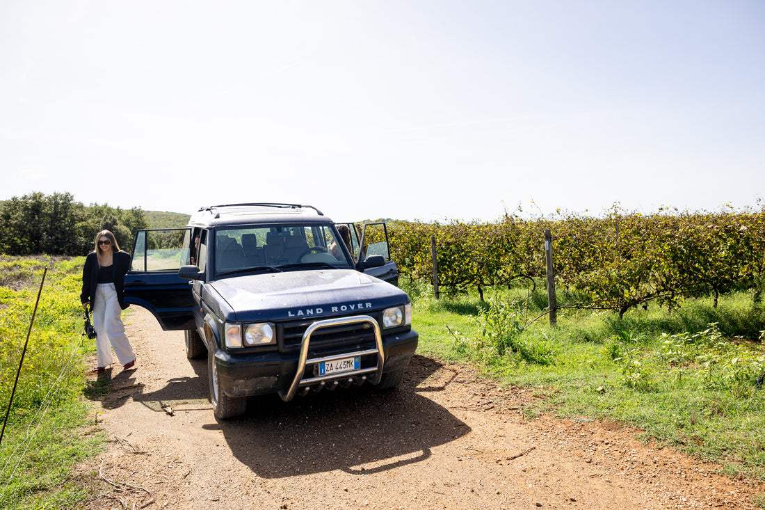 Tenuta Montauto - Country Tasting Toscana Tenuta Montauto