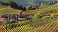 Tenuta PianPolvere - Degustazione 7 vini in Barolo