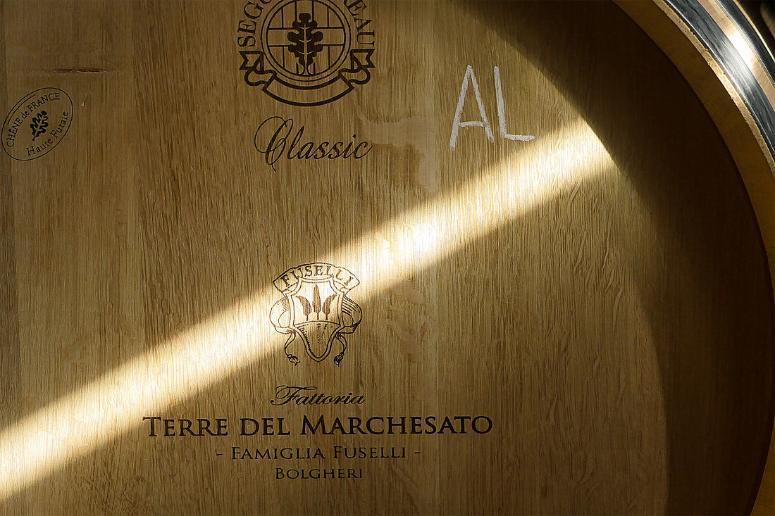 Terre del Marchesato - Degustazione Classic Toscana Terre del Marchesato