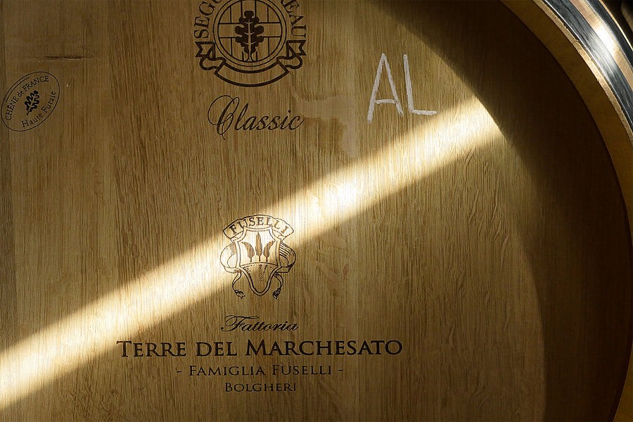 Terre del Marchesato - Degustazione Classic Toscana Terre del Marchesato