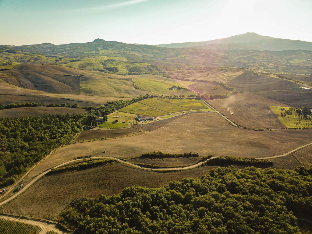 Tenuta di trinoro - Degustazione di vino esclusiva