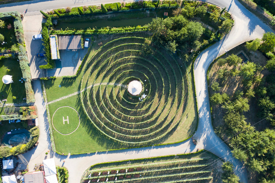 Torciano Winery - Tour in Elicottero & Degustazione