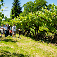 Az. Agricola Gianluca Fugolo - Degustazione + Pic Nic