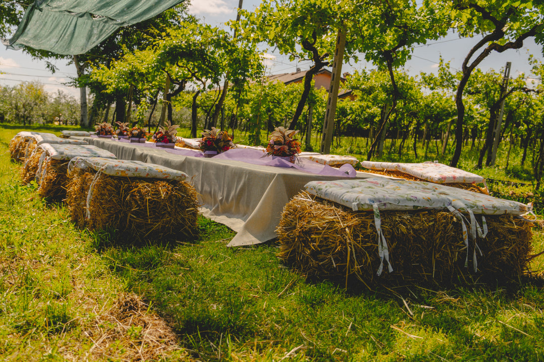 Az. Agricola Gianluca Fugolo - Degustazione "Viaggio in Valpolicella"