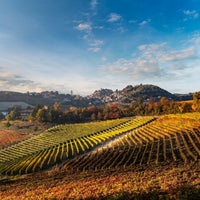 Cantina Moscone - Langa in Piatto - Piemonte