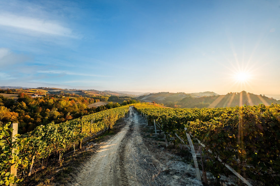 Cantina Moscone - Langa in Piatto - Piemonte