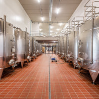 Cantina Moscone - Langa in Piatto - Piemonte