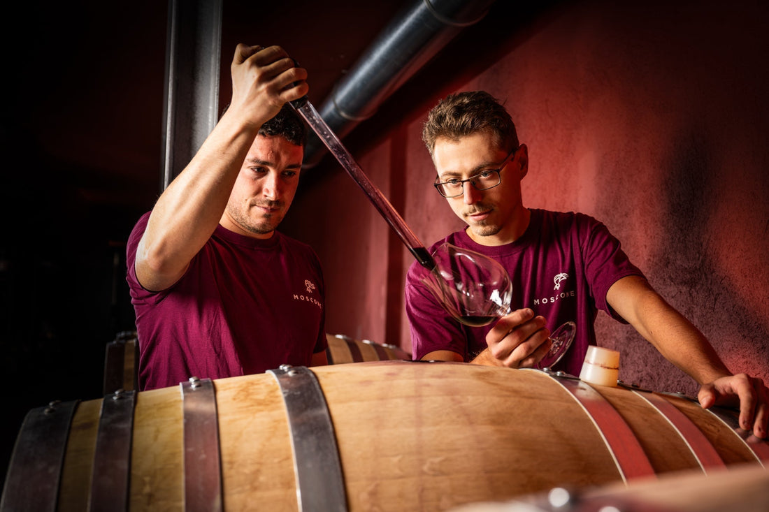 Cantina Moscone - Degustazione Il Monsù - Piemonte