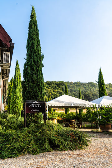 Castello di Corbara - Pranzo Degustazione presso La Tenuta di Corbara