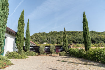 Castello di Corbara - Le origini della tradizione