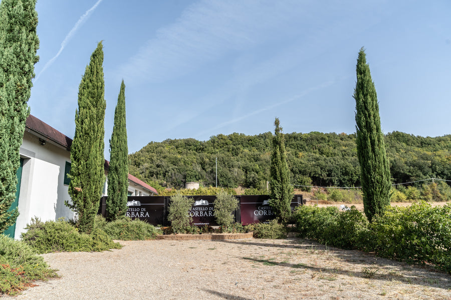 Castello di Corbara - I tesori del lago