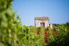 Augustali - Vigneti al tramonto