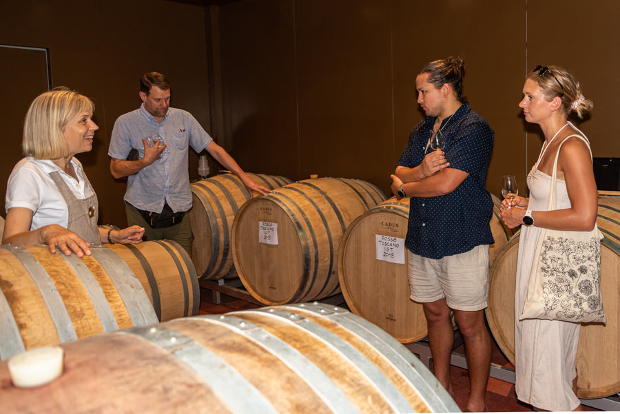 Tenuta Guardastelle - Premium wine tour Toscana Tenuta Guardastelle