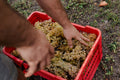 Simone Cerruti Winery - Degustazione 6 Vini