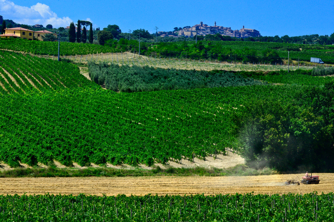 Cantina Fassati - Classic - WINERIES