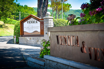 Venica e Venica - Degustazione di vino esclusiva