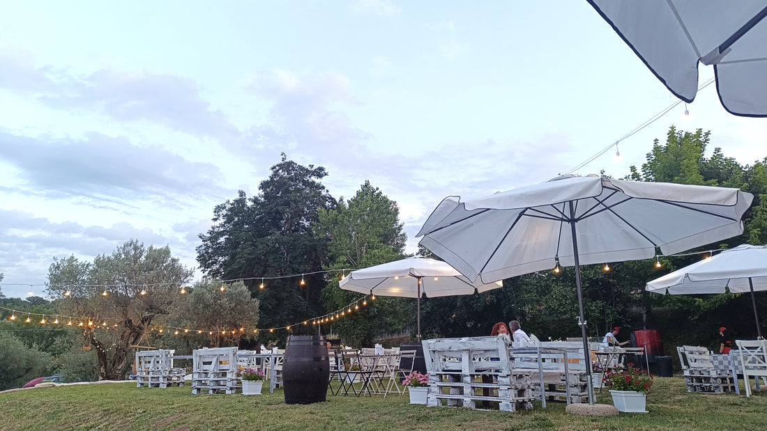 PETRILLO - Menù degustazione Campania Petrillo