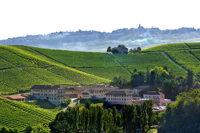 Fontanafredda - Degustazione di vino esclusiva