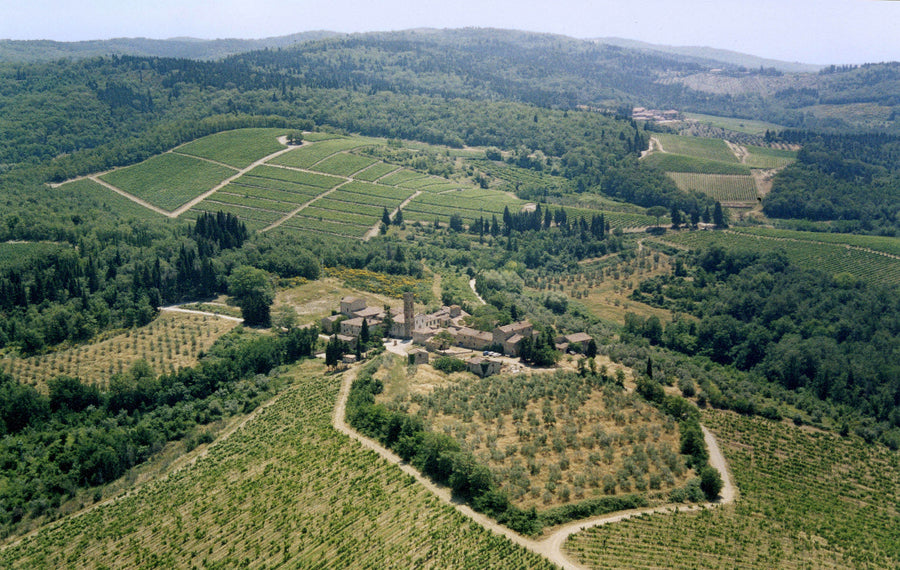 Isole e olena - Degustazione di vino esclusiva