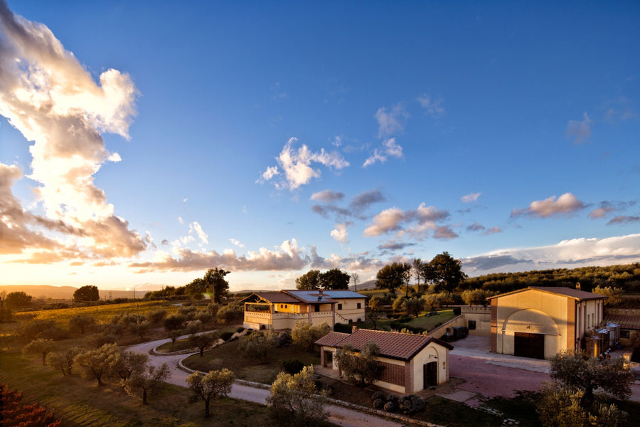 Cantina Perticaia - Wine Experience Classica - WINERIES