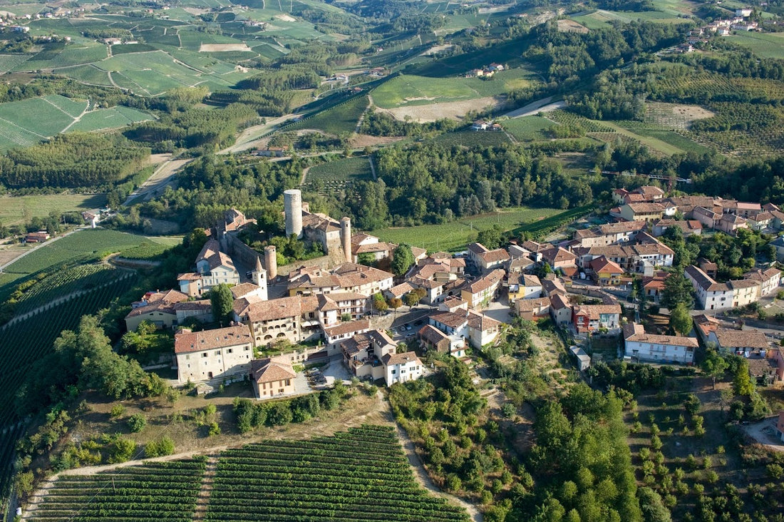 Vietti - Degustazione di vino esclusiva