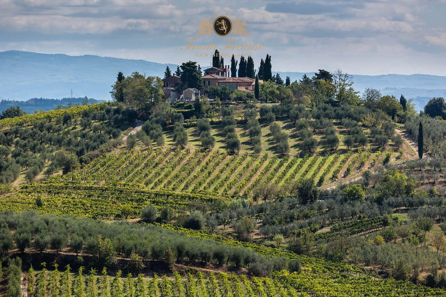 Torciano Winery - Degustazione & Tagliere Toscana Torciano Winery