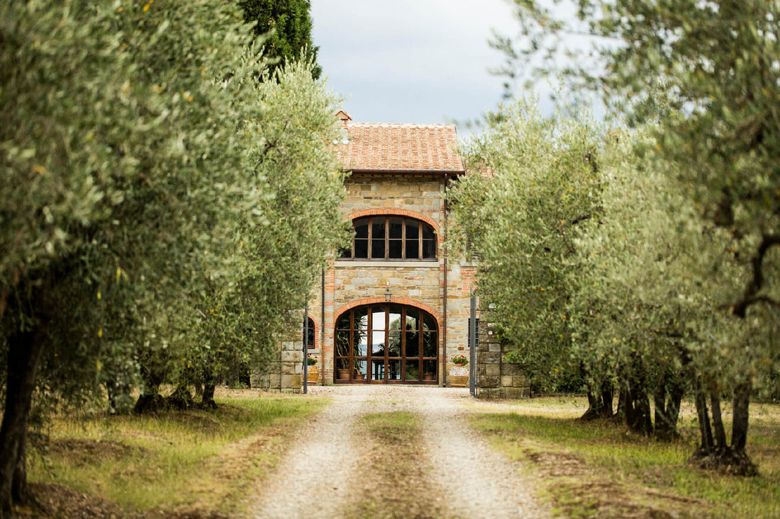 Tenuta sette ponti - Degustazione di vino esclusiva