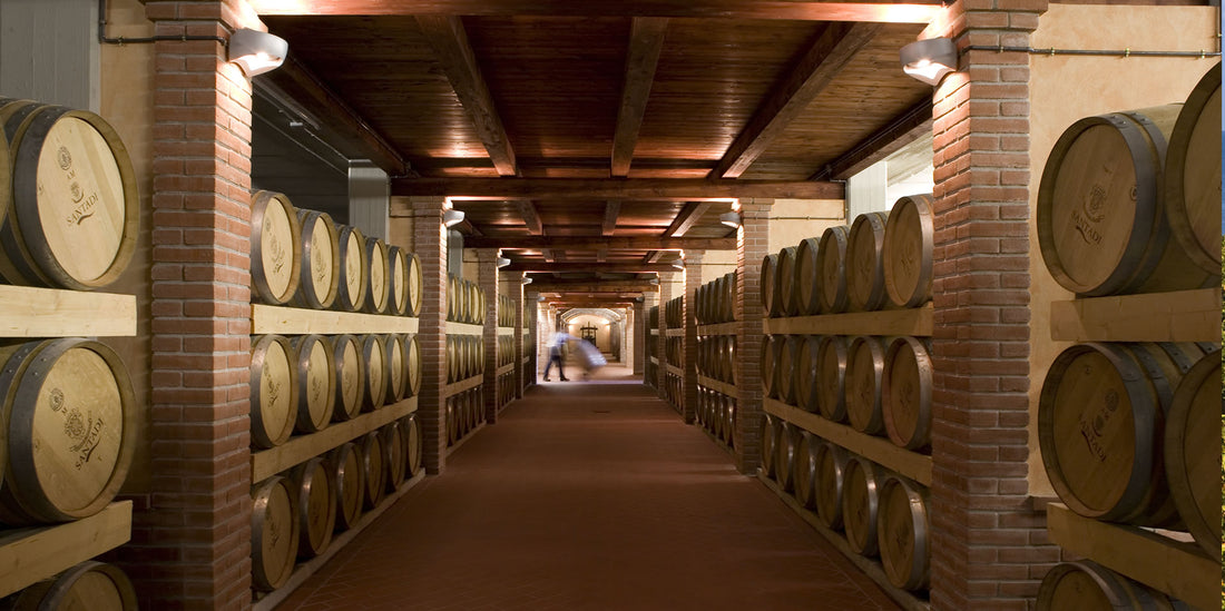 Cantina di santadi - Degustazione di vino esclusiva