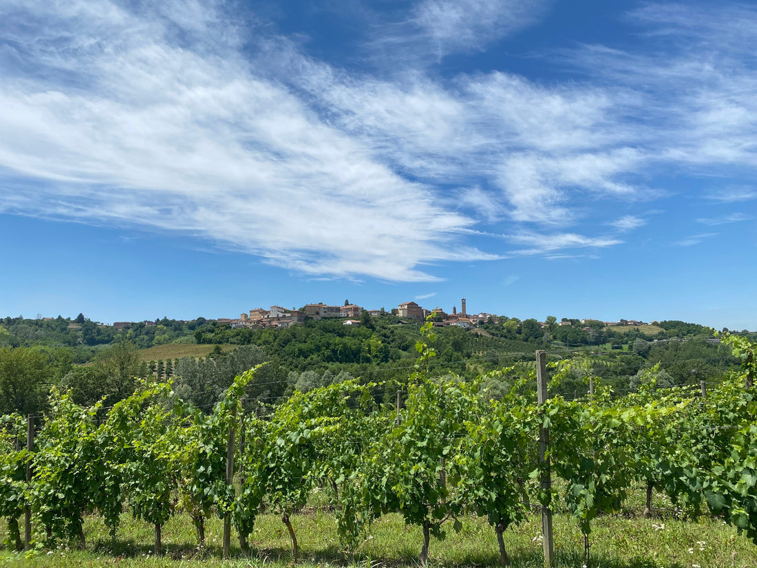 La Mondianese - Soggiorno + Degustazione - Piemonte