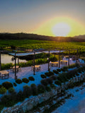 Tenute Gregu - Signature Plus Wine Tasting