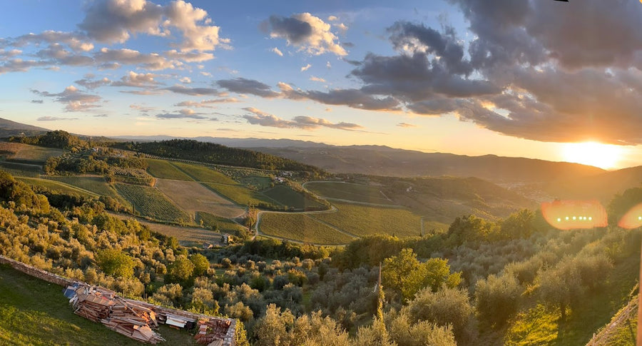 Frescobaldi Castello Nipozzano - Degustazione di vino esclusiva