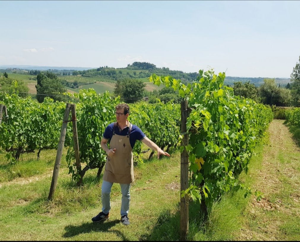 Tenuta Guardastelle - Premium wine tour Toscana Tenuta Guardastelle