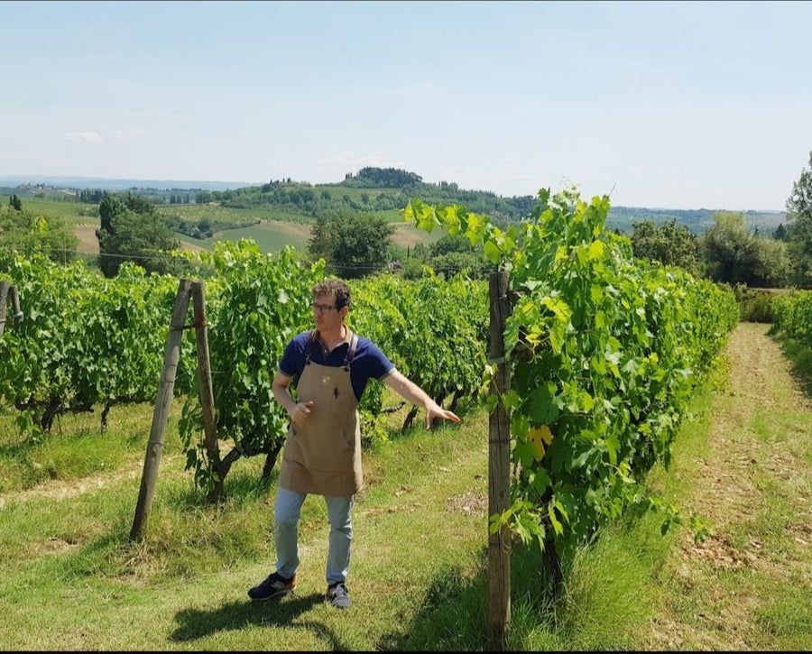 Tenuta Guardastelle - Premium wine tour Toscana Tenuta Guardastelle