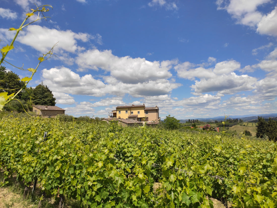 Tenuta Guardastelle - Premium wine tour Toscana Tenuta Guardastelle