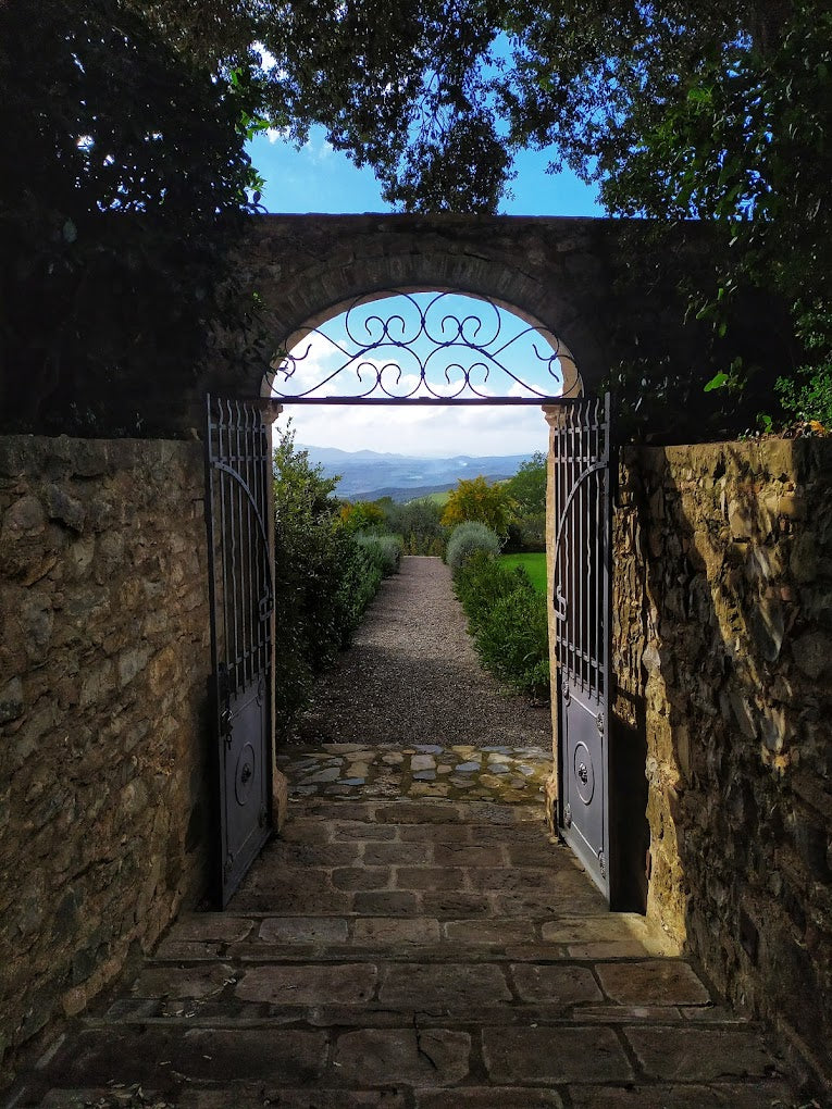 Frescobaldi Castel giocondo - Degustazione di vino esclusiva