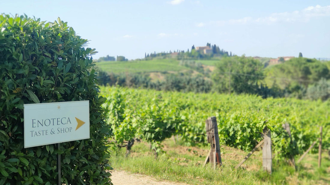 Tenuta Guardastelle - Premium wine tour Toscana Tenuta Guardastelle