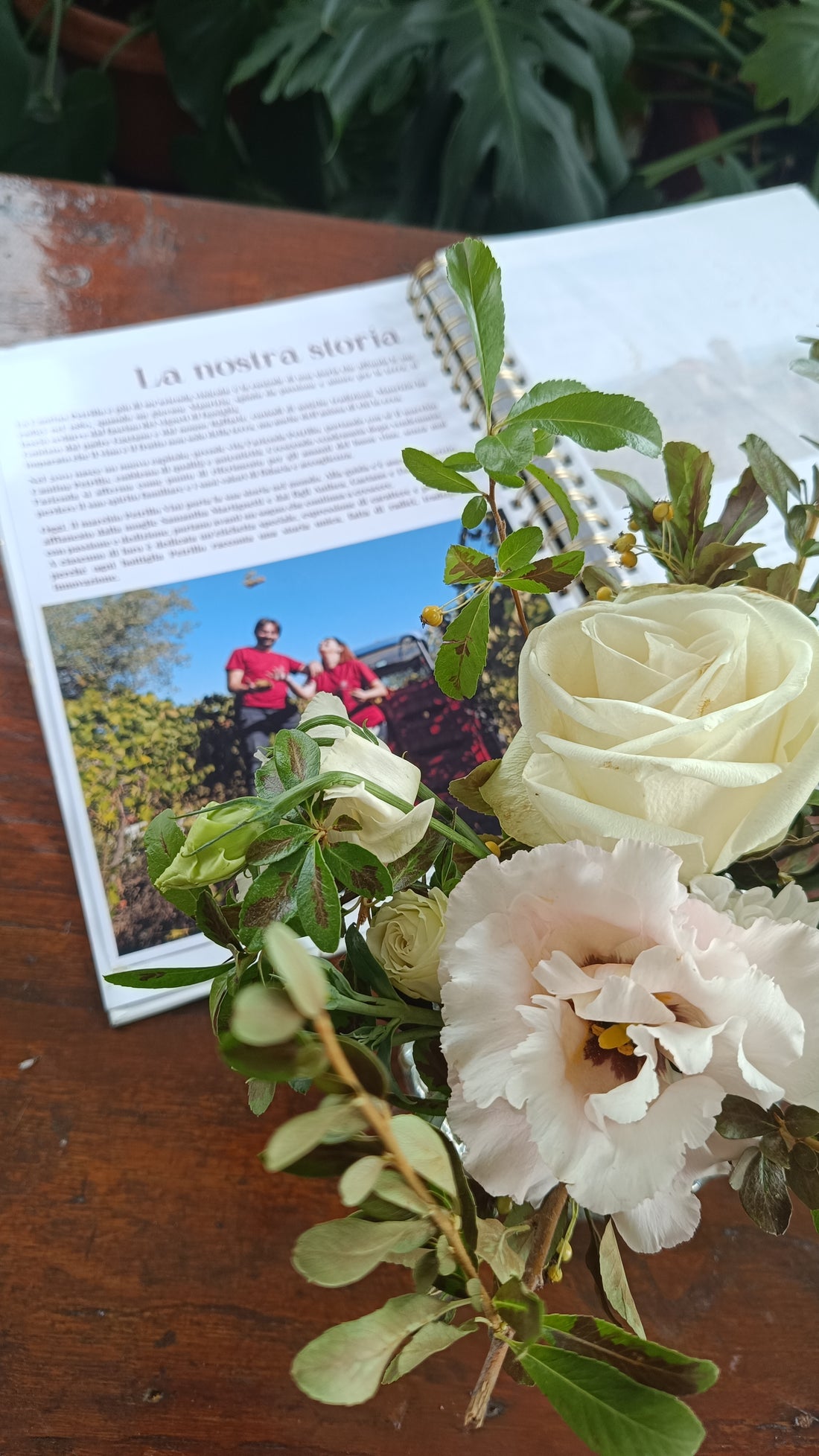 PETRILLO - ESPLORANDO IL BORGO DI MONTEFUSCO Campania Petrillo