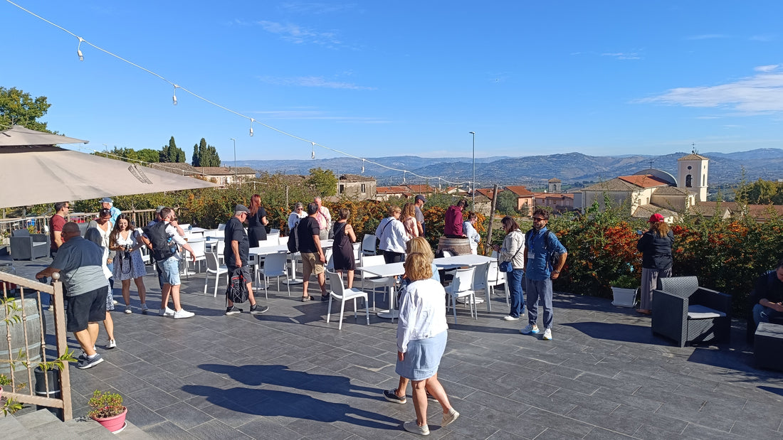 PETRILLO - Pranzo con Degustazione Campania Petrillo