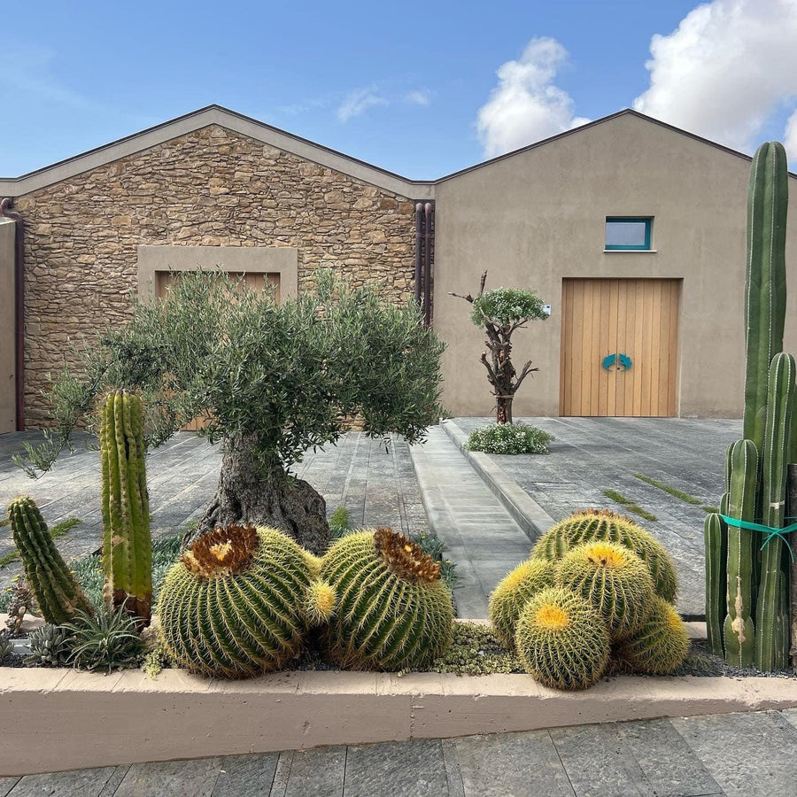 Casa Grazia - d’oltre mare Sicilia Casa Grazia