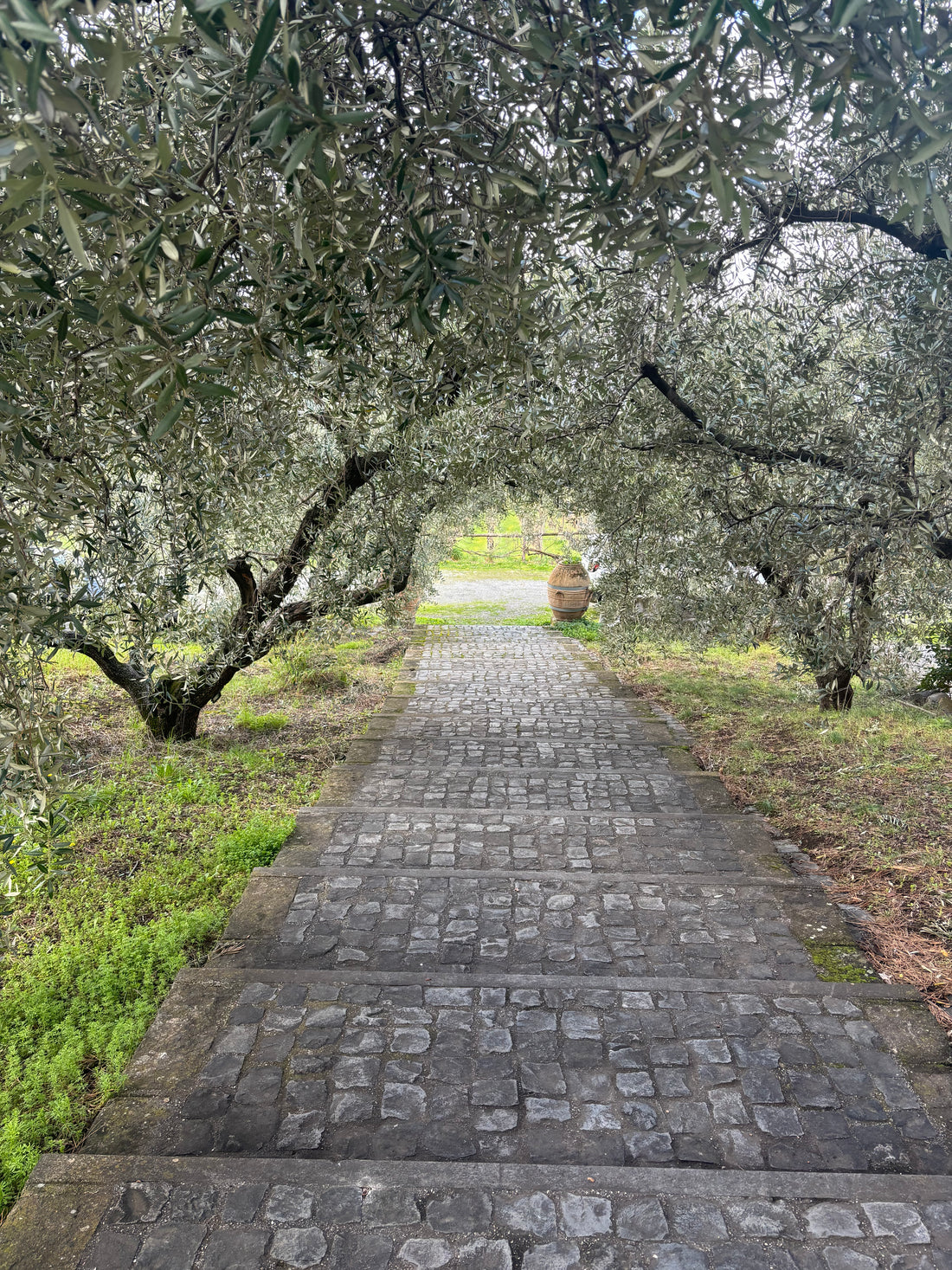 Castel de Paolis - Degustazione Campovecchio - WINERIES