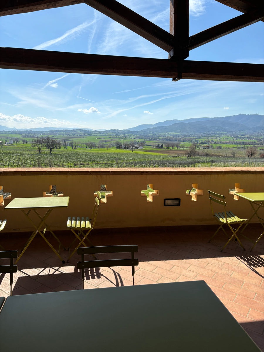 Cantina Perticaia - Wine Experience Exclusive - WINERIES