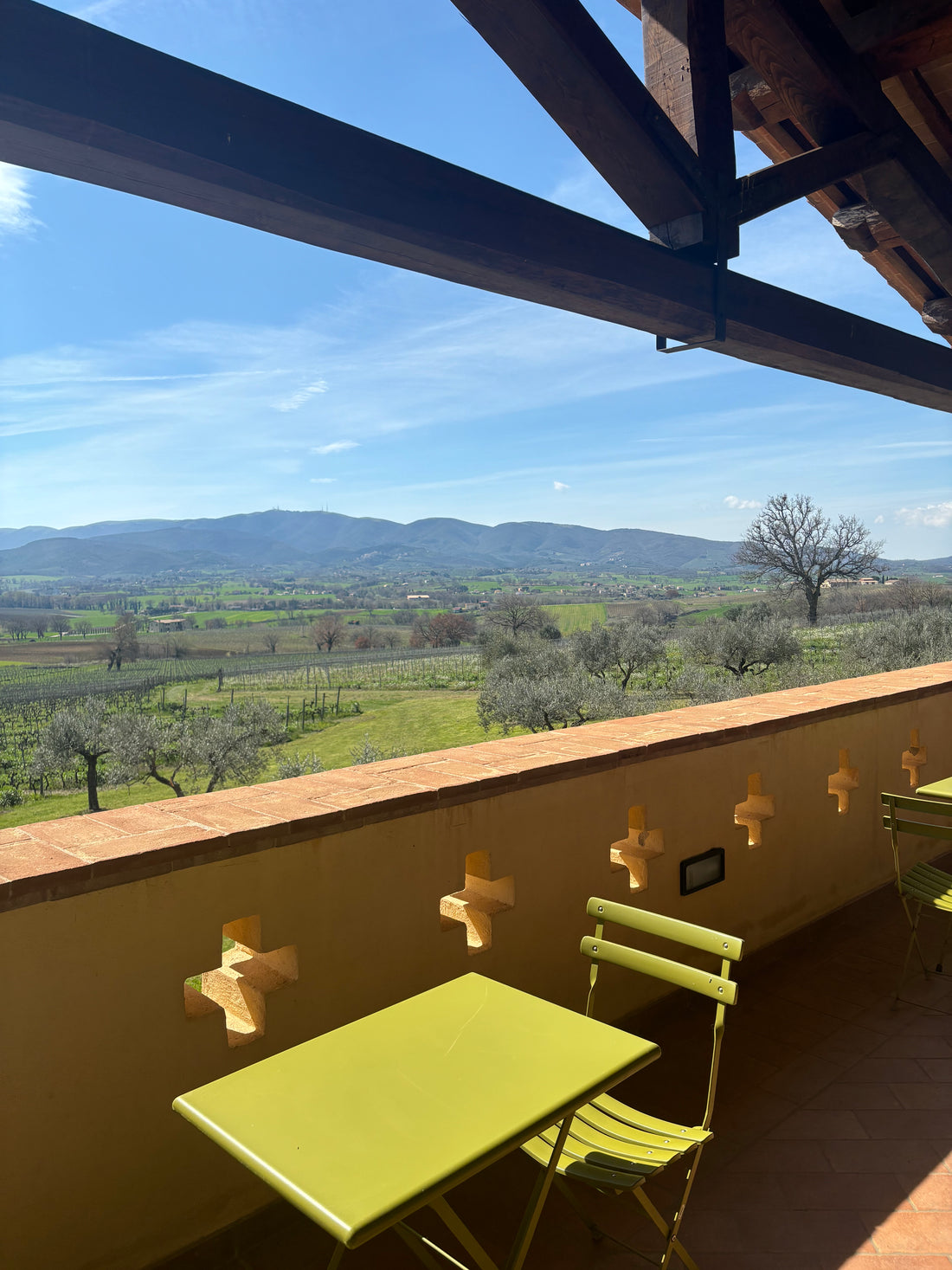 Cantina Perticaia - Wine Experience Exclusive - WINERIES