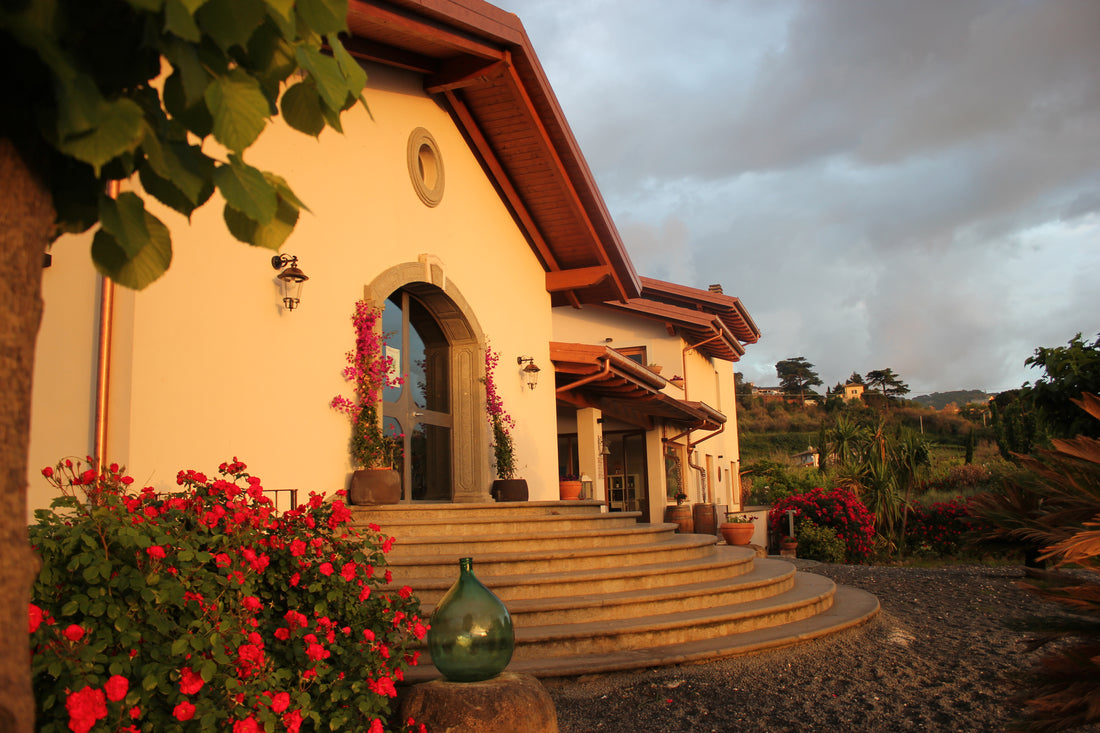 De Sanctis - Degustazione 3 Vini Lazio De Sanctis