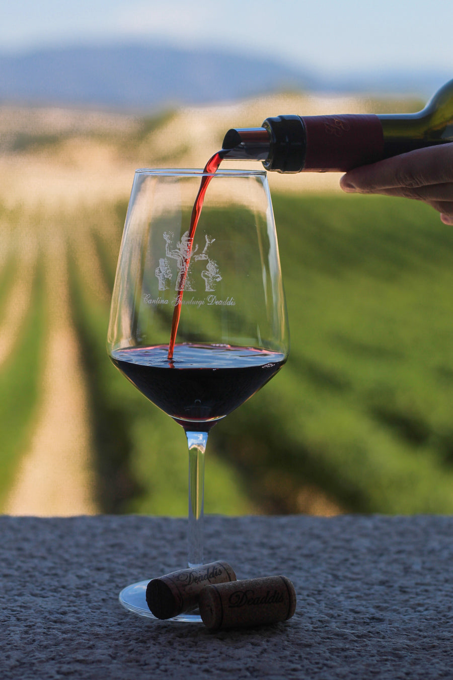 Cantina Gianluca De Addis - Il taglio con l'Enologa - WINERIES