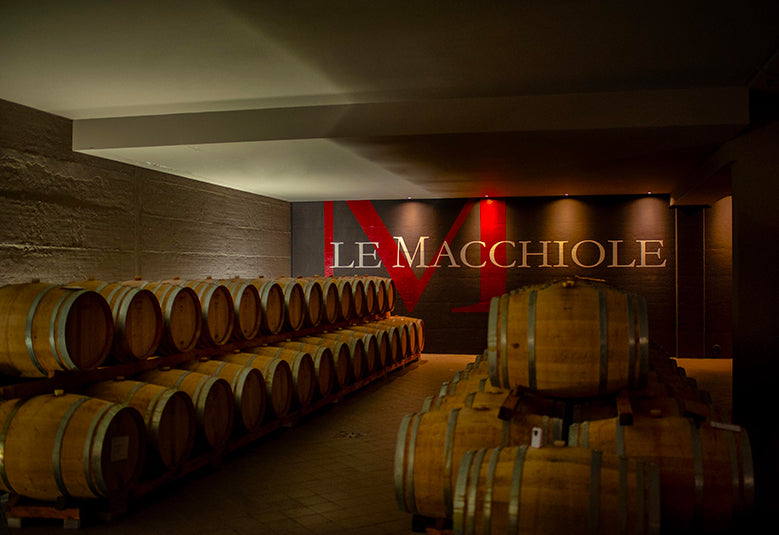 Le Macchiole - Degustazione di vino esclusiva