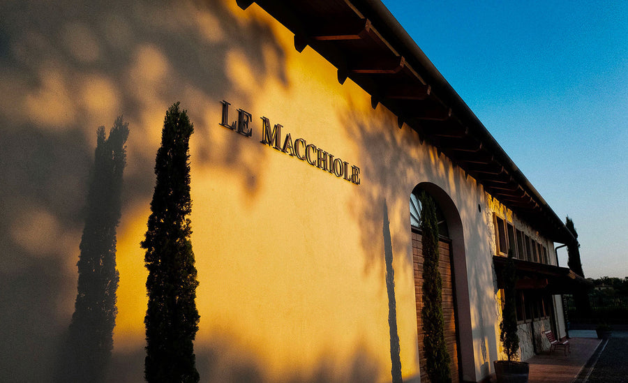 Le Macchiole - Degustazione di vino esclusiva