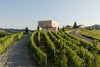 Astemia pentita - Degustazione di vino 