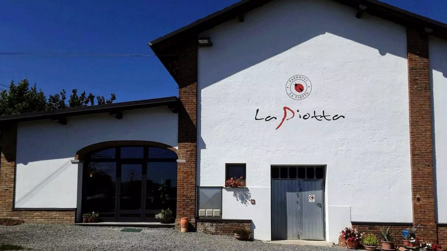 La Piotta - Degustazione 4 Vini